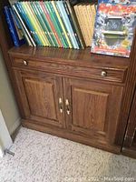 Close up of bottom cabinet showing wood panel design and brass handles