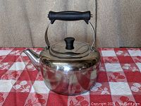 Heavy stainless steel tea kettle with rounded spout and black handle shown from front angle, placed on red and white patterned cloth.