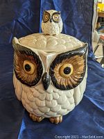 Front view of ceramic owl cookie jar with owlet lid knob showing detailed owl eyes and feathers.