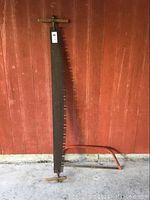 Full view of the 60-inch cross cut saw standing vertically, showing blade with large teeth and wooden T-handle.