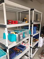 Front view of two plastic storage shelves filled with assorted garage and workshop items.