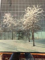Color photograph showing snow-covered trees reflected in a glass window, capturing a winter scene with natural light and shadows.