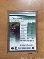 Back of the Tiger Woods card showing personal info and 2000 season statistics table