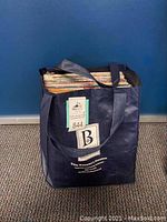 Blue reusable bag filled with numerous vinyl records, showing the tops of record sleeves.