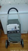 Front view of Mainstay deluxe insulated shopping cart showing flap and handle