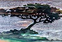 Close-up of the glass artwork showing detail of the tree texture and background material.