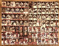 Full layout of 90 hockey cards featuring Hamilton Bulldogs from early 2000s seasons showing players in white uniforms with black and red accents.