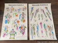 Photo of two laminated anatomical posters titled Trigger Points I and II side by side showing colorful trigger point diagrams over human figures.