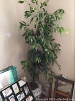 Full view of faux tree showing overall height, leaves, and base with some picture frames partially visible nearby.