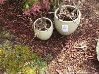 Two ceramic planters in beige color placed outdoors with soil and dried plants inside.
