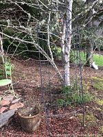 Black metal trellis with ornate designs leaning against tree with small ceramic planter nearby.