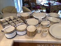 Full set displayed on kitchen countertop including plates, bowls, cups, saucers, and serving pieces, some in storage containers.