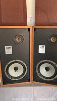 Both speakers side by side showing front panels and teak veneer cabinets