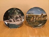 Front view of two wild cat collector plates, one with white tiger cubs and one with cheetah cubs, each on plate stands