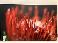 Full frontal view of the canvas showing red elongated natural shapes set on a dark background