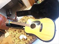 Overall view of Fender acoustic guitar seated in open hardshell case