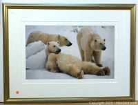 Front view of the large framed photograph showing three polar bears in snow.