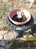 Outdoor photo of black cast iron planter urn with plastic flower pot holding soil and plant twig