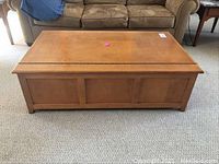 Front view of light wood coffee table showing rectangular shape, paneled sides, and some surface wear.