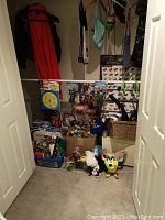Overall view of closet holding collection of toys, books, Lego sets, costumes, and miscellaneous items.