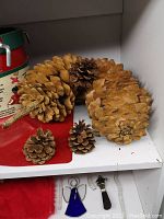 Six pine cones of various sizes arranged on shelf with red mat and holiday containers nearby