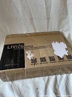 Closed cardboard box of Living Basics bidet attachment, black and beige box with product labeling