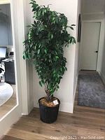 Full view of the 72 inch tall artificial plant placed indoors near a white wall and door frame.