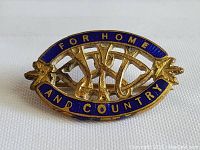 Clear image of gold-tone and blue enamel Canadian patriotic pin with wording 'FOR HOME AND COUNTRY'.