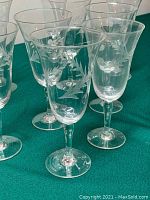 Group photo of 8 clear etched glass stemware glasses arranged on a green surface showing their shape and etching.