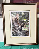 Framed squirrel print showing realistic woodland scene with squirrel on a tree branch.