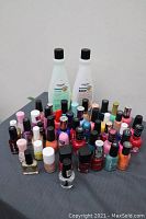 Full lot of assorted nail polish bottles and two nail polish remover bottles arrayed on a flat surface, showing varying colors and amounts.