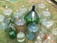 Wide view of assortment of 30 glass bottles including large and medium carboys and smaller jugs on grass.