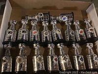 Full set of 17 mini NHL Stanley Cup trophies displayed in a box with visible team logos on bases including Flyers, Red Wings, Rangers, Maple Leafs, Oilers, Bruins, Devils, Penguins, Leafs, and others.