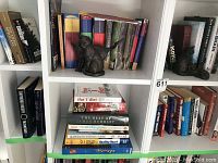 Wide view of two shelves with various books including cookbooks, fiction, health-related, and more with two bronze-look cat figurines seated on a shelf.