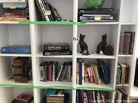 Wide bookshelf view showing mixed books including veterinary and fiction titles, DVDs, and cat bookend figures