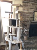 Full view of carpeted cat tree showing multiple platforms, covered hideout, scratching posts wrapped in rope with visible wear, and hanging rope toys beside a stone fireplace and window.
