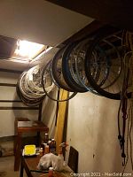 Photo showing multiple bicycle wheels hanging in storage basement area, dusty and stored vertically.