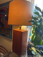 Full lamp with shade showing height and silhouette