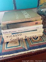 Stack of five Picasso books showing titles and covers
