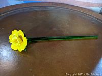 Single long stem yellow glass buttercup flower on a brown surface capturing full length.