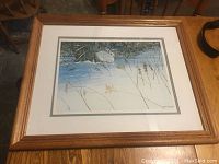Framed print of a white hare laying in snow with trees and branches, wooden frame