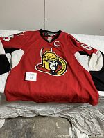 Front view of Ottawa Senators red hockey jersey with large team logo, number 65 on sleeves, and captain 'C' patch on chest.