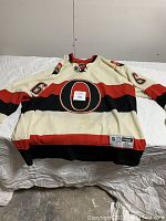 Front view of the Ottawa Senators jersey showing large 'O' logo and number 6 on the sleeves with some visible stain marks.