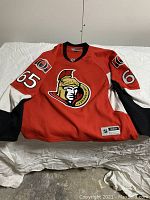 Full view of the red Ottawa Senators NHL jersey with black and white sleeve accents, number 65 on the sleeves and large team logo on front.