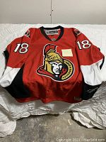Front view of red Ottawa Senators hockey jersey with large team logo in center and number 18 on sleeves and front. Size tag visible inside collar.