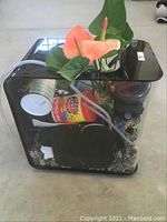 Front and side view showing compact fish tank with black top and inside pump, fish food can, artificial plants, and decorative rocks.