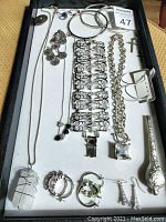 Photo showing full lot of assorted fashion jewelry laid out in a tray, including bracelets, necklaces, earrings, and rings.