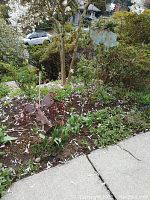 Outdoor metal fairy figurine stake positioned in garden bed with plants and flowers around.