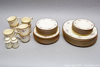 Full set arranged showing all included plates, teacups, saucers, and salt & pepper shakers in white china with floral pattern and gold trim.