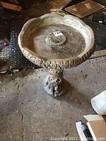 Full view of bird bath showing scalloped basin and tree trunk pedestal